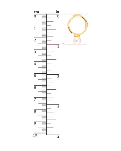 Shop Eye Candy La Luxe Collection 24k Plated Cz Lita Huggie Earrings