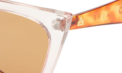 Shop Aire Perseus 51mm Cat Eye Sunglasses In Candy / Amber Tort