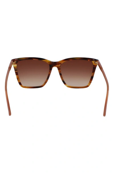 Longchamp Le Pliage 56mm Gradient Rectangular Sunglasses In Brown Horn