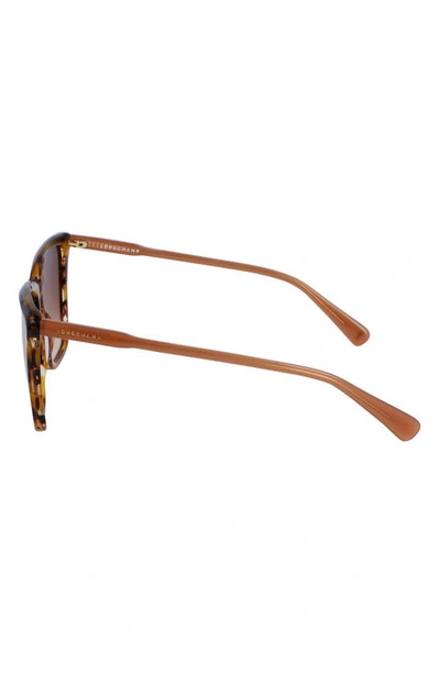 Longchamp Le Pliage 56mm Gradient Rectangular Sunglasses In Brown Horn