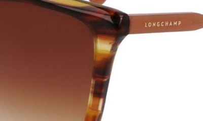 Longchamp Le Pliage 56mm Gradient Rectangular Sunglasses In Brown Horn