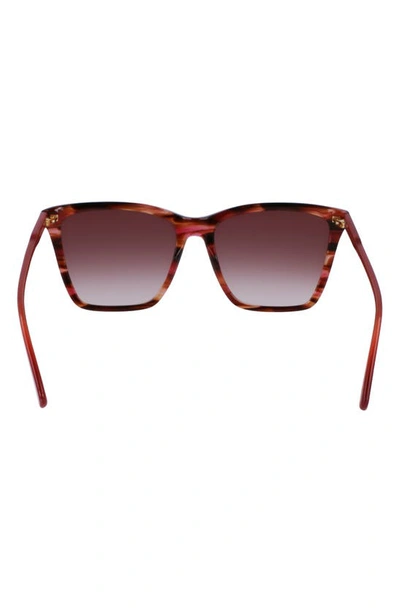 Longchamp Le Pliage 56mm Gradient Rectangular Sunglasses In Red Horn