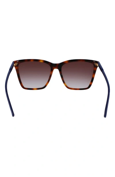 Longchamp Le Pliage 56mm Gradient Rectangular Sunglasses In Havana