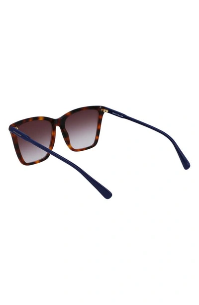 Longchamp Le Pliage 56mm Gradient Rectangular Sunglasses In Havana