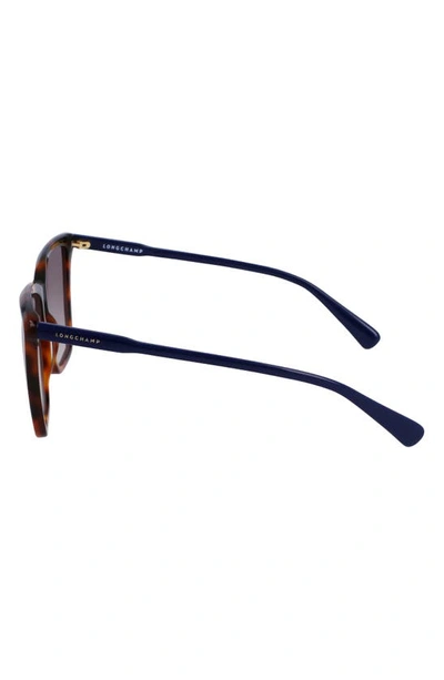 Longchamp Le Pliage 56mm Gradient Rectangular Sunglasses In Havana