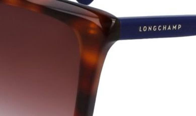 Longchamp Le Pliage 56mm Gradient Rectangular Sunglasses In Havana