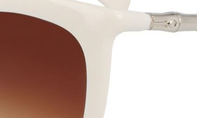 Shop Longchamp Roseau 53mm Gradient Cat Eye Sunglasses In Ivory