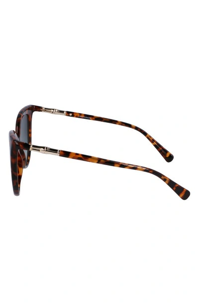 Shop Longchamp Roseau 53mm Gradient Cat Eye Sunglasses In Havana