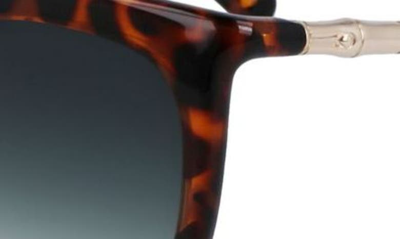 Shop Longchamp Roseau 53mm Gradient Cat Eye Sunglasses In Havana