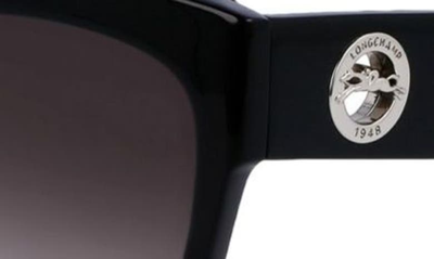 Shop Longchamp Medallion 52mm Tea Cup Sunglasses In Black