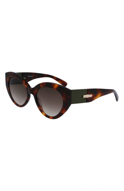 Longchamp Roseau 54mm Gradient Cat Eye Sunglasses In Havana