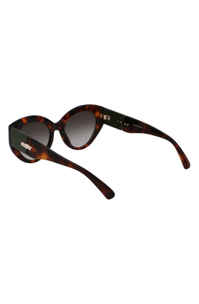 Longchamp Roseau 54mm Gradient Cat Eye Sunglasses In Havana
