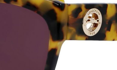 Shop Longchamp Medallion 52mm Tea Cup Sunglasses In Tokyo Havana