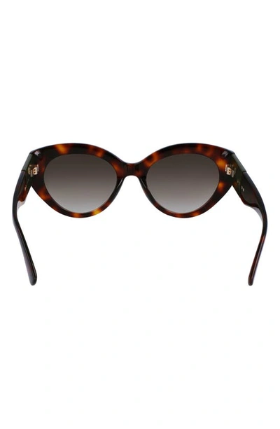 Longchamp Roseau 54mm Gradient Cat Eye Sunglasses In Havana