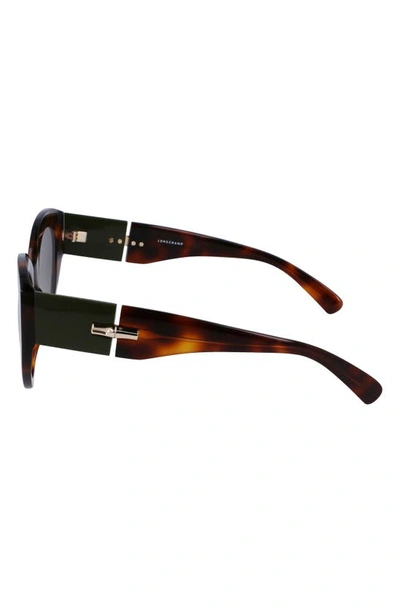 Longchamp Roseau 54mm Gradient Cat Eye Sunglasses In Havana