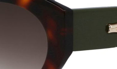 Longchamp Roseau 54mm Gradient Cat Eye Sunglasses In Havana