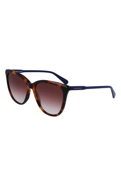 Longchamp Le Pliage 56mm Gradient Tea Cup Sunglasses In Havana