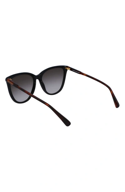 Shop Longchamp Le Pliage 56mm Gradient Tea Cup Sunglasses In Black