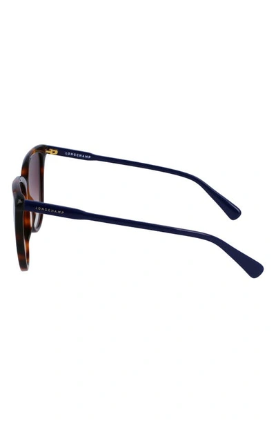 Longchamp Le Pliage 56mm Gradient Tea Cup Sunglasses In Havana