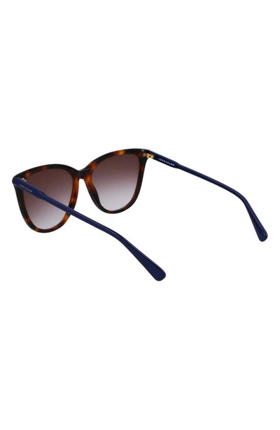 Longchamp Le Pliage 56mm Gradient Tea Cup Sunglasses In Havana