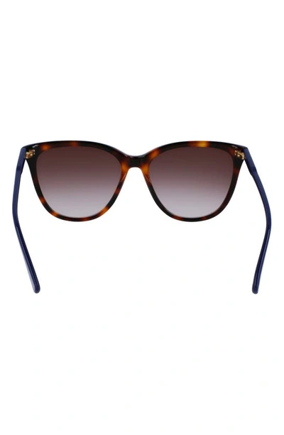 Shop Longchamp Le Pliage 56mm Gradient Tea Cup Sunglasses In Havana