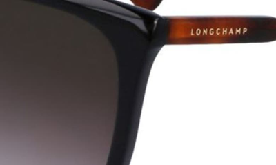 Shop Longchamp Le Pliage 56mm Gradient Tea Cup Sunglasses In Black