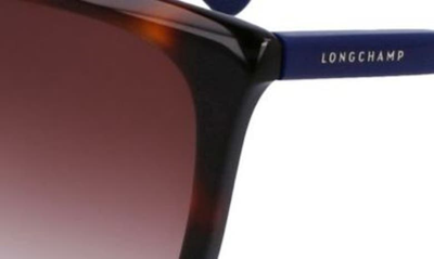 Shop Longchamp Le Pliage 56mm Gradient Tea Cup Sunglasses In Havana
