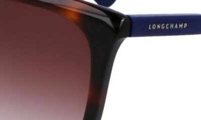 Longchamp Le Pliage 56mm Gradient Tea Cup Sunglasses In Havana