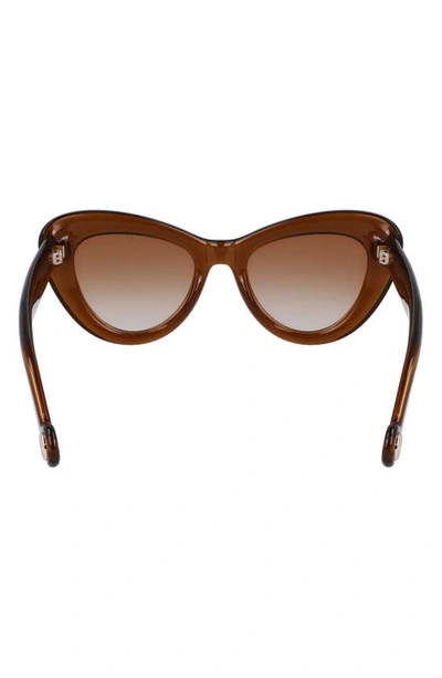 Shop Lanvin Daisy 50mm Cat Eye Sunglasses In Caramel