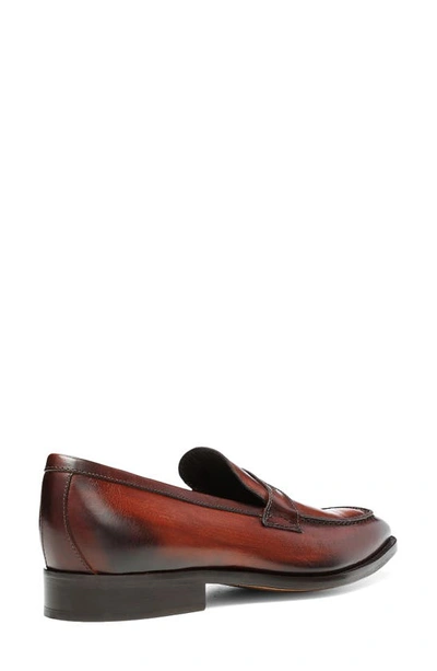 Shop Donald Pliner Stiles Penny Loafer In Dark Brown