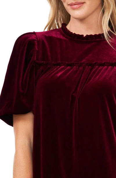 Cece Ruffle Detail Velvet Shift Dress In Majestic Wine