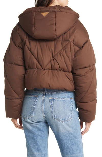 Shop Avec Les Filles Water Resistant Hooded Puffer Jacket In Cocoa