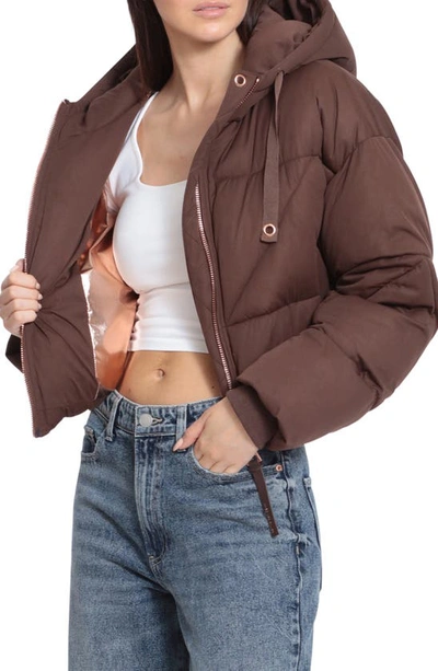 Shop Avec Les Filles Water Resistant Hooded Puffer Jacket In Cocoa