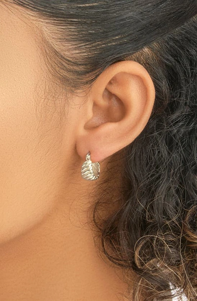 Sterling Forever Five Days Of Hoops Assorted 5-pack Hoop Earrings In Silver