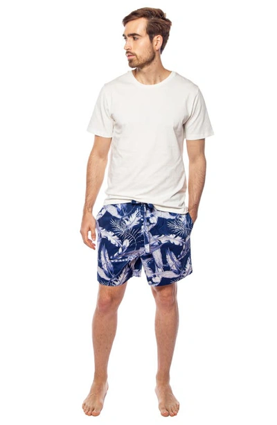 Shop The Lazy Poet Plume Leaf Print Pajama Shorts In Blue