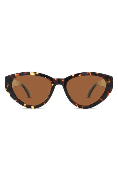 Shop Banbe The Hart Polarized Cat Eye Sunglasses In Amber Tort Black