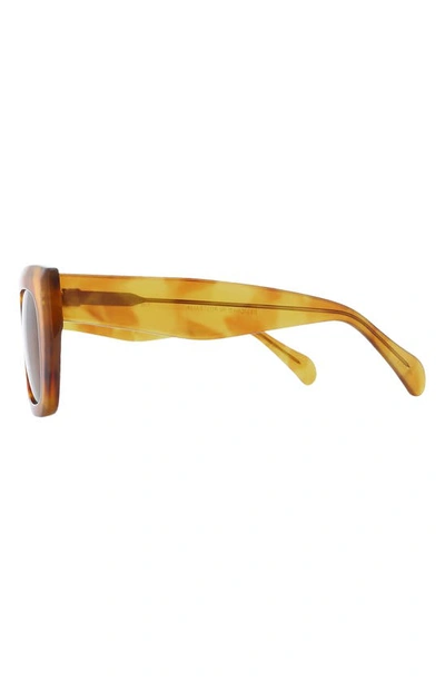 Shop Banbe The Irina Square Sunglasses In Honey Tort-brown