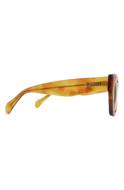 Shop Banbe The Irina Square Sunglasses In Honey Tort-brown