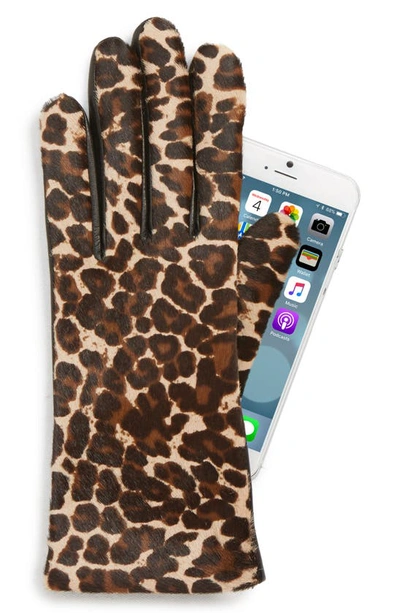 Shop Agnelle Leopard Print Genuine Calf Hair & Lambskin Leather Gloves In Black Tactile/ Panthere