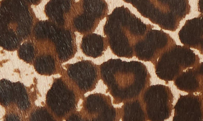 Shop Agnelle Leopard Print Genuine Calf Hair & Lambskin Leather Gloves In Black Tactile/ Panthere