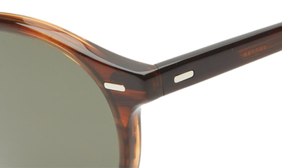 Oliver Peoples Gregory Peck Polarized Round Sunglasses, 50mm In Dark Tortoise
