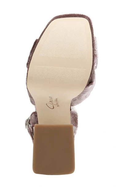 Circus By Sam Edelman Audrea Platform Sandal In Hazy Mauve