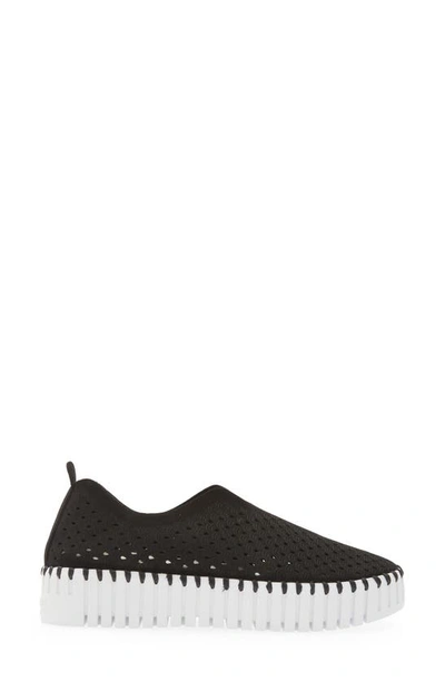 Ilse Jacobsen Tulip 139 Perforated Slip-on Sneaker In Black