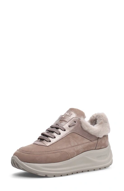 Candice Cooper Spark One Genuine Shearling Lined Sneaker In Beige -rose  Gold | ModeSens