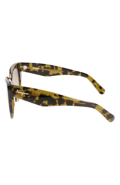 Ferragamo 56mm Gradient Cat Eye Sunglasses In Tortoise Green