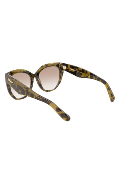 Ferragamo 56mm Gradient Cat Eye Sunglasses In Tortoise Green