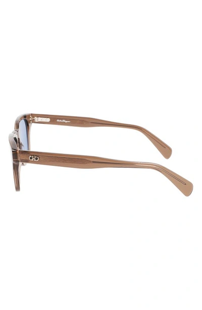 Ferragamo Gancini 55mm Rectangular Sunglasses In Brown Transparent