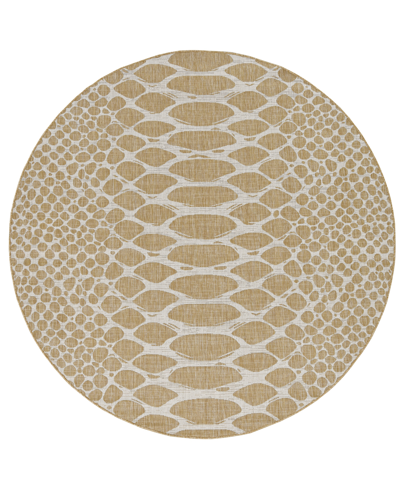 Shop Kas Provo 5767 7'10" X 7'10" Round Outdoor Area Rug In Brown