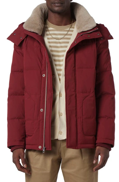 Shop Andrew Marc Gorman Genuine Shearling Lined Down Jacket In Garnet