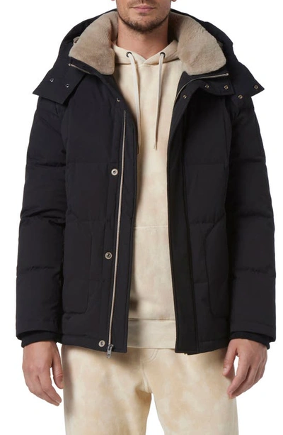 Shop Andrew Marc Gorman Genuine Shearling Lined Down Jacket In Black